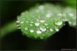 nEO_IMG_DSC_7897