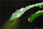 nEO_IMG_DSC_7905