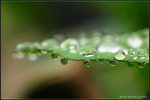 nEO_IMG_DSC_7907