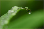 nEO_IMG_DSC_7911