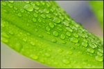 nEO_IMG_DSC_7912