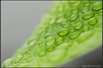 nEO_IMG_DSC_7913