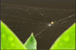 nEO_IMG_DSC_7915