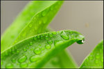 nEO_IMG_DSC_7916