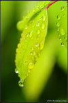 nEO_IMG_DSC_7918
