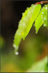 nEO_IMG_DSC_7922
