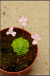 nEO_IMG_DSC_7807