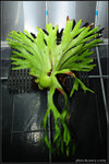 nEO_IMG_DSC_7198