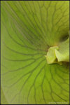 nEO_IMG_DSC_7845