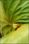 nEO_IMG_DSC_7846