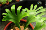 nEO_IMG_DSC_8162