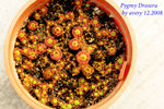 Pygmy Drosera 1