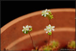 nEO_IMG_DSC_7787