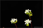 nEO_IMG_DSC_7793