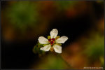 nEO_IMG_DSC_8070
