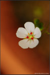 nEO_IMG_DSC_8071