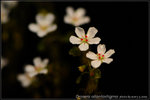 nEO_IMG_DSC_8206