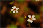 nEO_IMG_DSC_8212