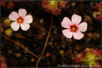 nEO_IMG_DSC_8225