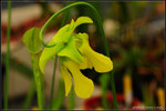 nEO_IMG_DSC_6716
