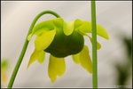 nEO_IMG_DSC_6720