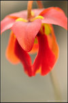 nEO_IMG_DSC_6726