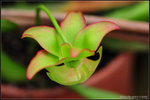 nEO_IMG_DSC_6729