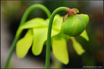 nEO_IMG_DSC_6733