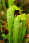 nEO_IMG_DSC_7764