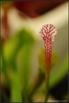 nEO_IMG_DSC_7802