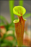 nEO_IMG_DSC_7803