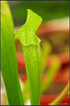 nEO_IMG_DSC_7805