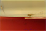 nEO_IMG_DSC_8486