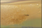 nEO_IMG_DSC_8487