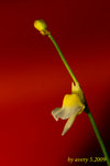 DSC_8198a