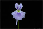 nEO_IMG_DSC_8077