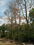 P2010782