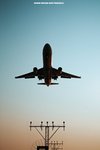 IMG_0706