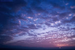 IMG_0949