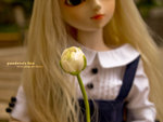 P5253565