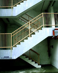 P3300784