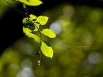 P7274644