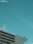 P8175888
