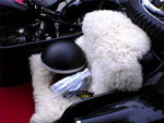 DSC00208