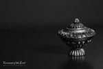 MG_0239