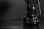 MG_0266