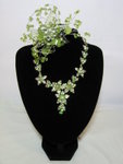H-00804-->$50, N-00303-->$180