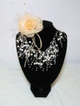 H-00807-->$60, N-00306-->$100