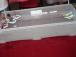 DSC08975