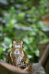 IMG_0079